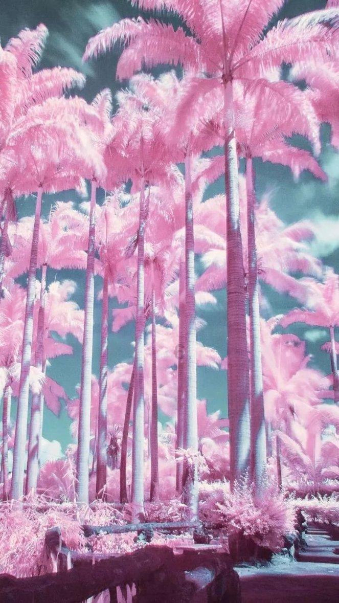 舰无虚发：暗星